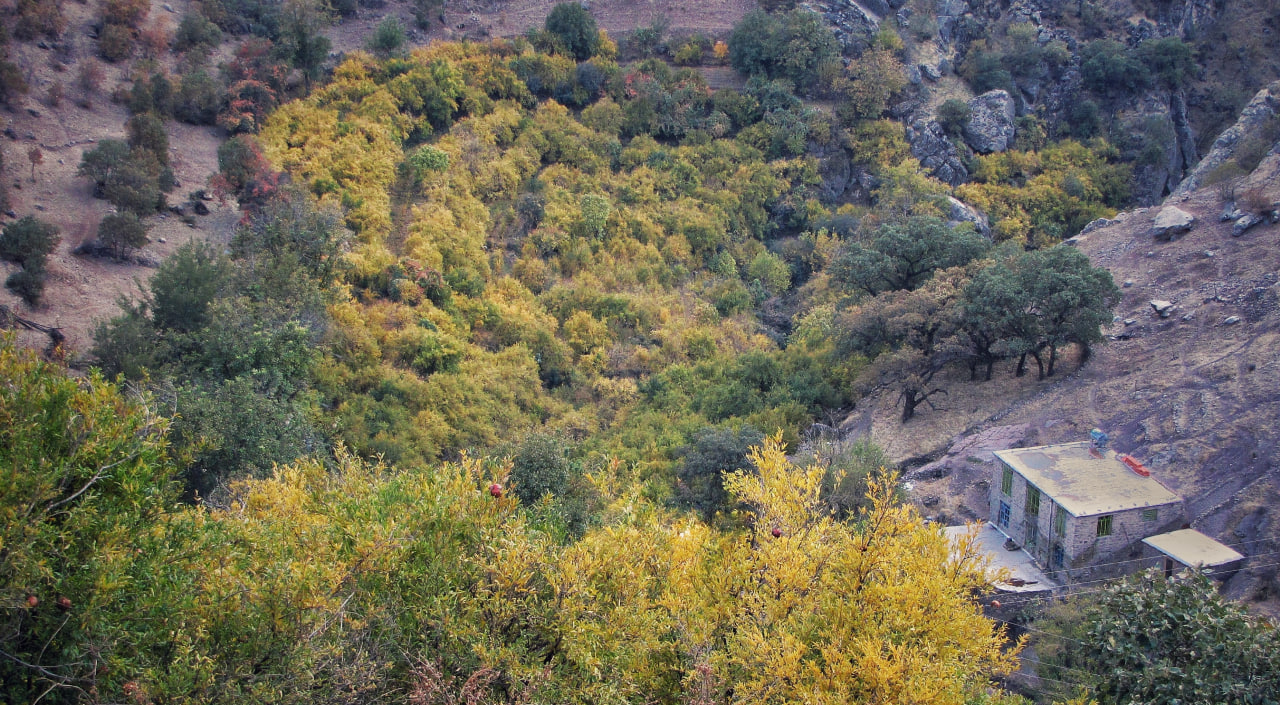 چشمه‌سارهای ژیوار