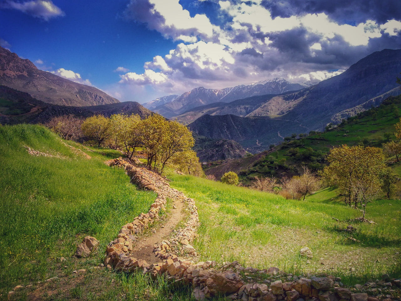 کوهستان کوسالان و قلۀ ابدالان
